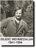 Sejdic Mehmedalija.jpg
